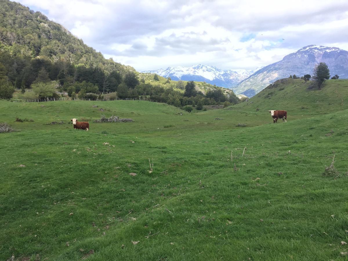Turismo Rural Los Alpes Futaleufú Exteriör bild